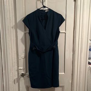 Blue dress, professional